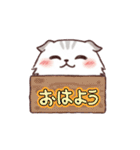 よく使うシンプルスタンプ【もふねこ】（個別スタンプ：17）