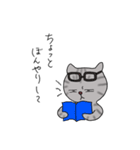 アメショベーちゃんの日常（個別スタンプ：16）