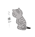 アメショベーちゃんの日常（個別スタンプ：20）