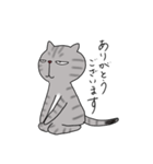 アメショベーちゃんの日常（個別スタンプ：23）