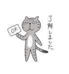 アメショベーちゃんの日常（個別スタンプ：24）