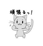 【1年中使える】ふわもちネコさん（個別スタンプ：16）