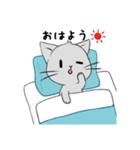 【1年中使える】ふわもちネコさん（個別スタンプ：17）