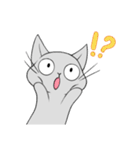 【1年中使える】ふわもちネコさん（個別スタンプ：21）