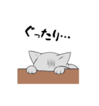 【1年中使える】ふわもちネコさん（個別スタンプ：30）