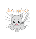 【1年中使える】ふわもちネコさん（個別スタンプ：33）