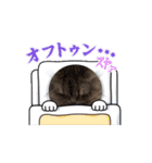 ねこのチェボム（個別スタンプ：12）