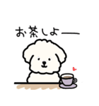 犬のもこまるの計画・連絡に便利なスタンプ（個別スタンプ：4）