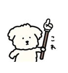 犬のもこまるの計画・連絡に便利なスタンプ（個別スタンプ：5）
