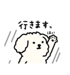 犬のもこまるの計画・連絡に便利なスタンプ（個別スタンプ：6）