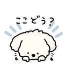 犬のもこまるの計画・連絡に便利なスタンプ（個別スタンプ：7）
