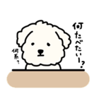 犬のもこまるの計画・連絡に便利なスタンプ（個別スタンプ：8）