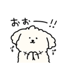 犬のもこまるの計画・連絡に便利なスタンプ（個別スタンプ：9）