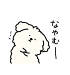 犬のもこまるの計画・連絡に便利なスタンプ（個別スタンプ：10）