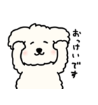 犬のもこまるの計画・連絡に便利なスタンプ（個別スタンプ：12）