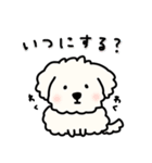 犬のもこまるの計画・連絡に便利なスタンプ（個別スタンプ：13）