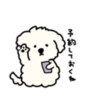 犬のもこまるの計画・連絡に便利なスタンプ（個別スタンプ：16）