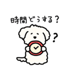 犬のもこまるの計画・連絡に便利なスタンプ（個別スタンプ：17）