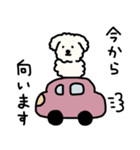 犬のもこまるの計画・連絡に便利なスタンプ（個別スタンプ：18）