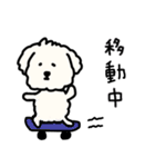 犬のもこまるの計画・連絡に便利なスタンプ（個別スタンプ：19）