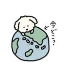 犬のもこまるの計画・連絡に便利なスタンプ（個別スタンプ：20）
