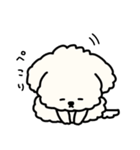 犬のもこまるの計画・連絡に便利なスタンプ（個別スタンプ：22）