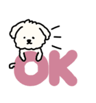 犬のもこまるの計画・連絡に便利なスタンプ（個別スタンプ：23）