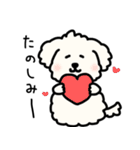犬のもこまるの計画・連絡に便利なスタンプ（個別スタンプ：25）