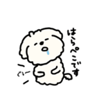 犬のもこまるの計画・連絡に便利なスタンプ（個別スタンプ：26）