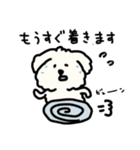 犬のもこまるの計画・連絡に便利なスタンプ（個別スタンプ：28）