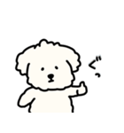 犬のもこまるの計画・連絡に便利なスタンプ（個別スタンプ：29）