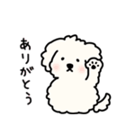 犬のもこまるの計画・連絡に便利なスタンプ（個別スタンプ：30）