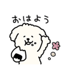 犬のもこまるの計画・連絡に便利なスタンプ（個別スタンプ：31）
