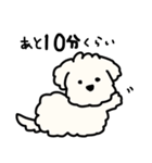 犬のもこまるの計画・連絡に便利なスタンプ（個別スタンプ：32）