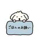 犬のもこまるの計画・連絡に便利なスタンプ（個別スタンプ：33）