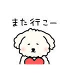 犬のもこまるの計画・連絡に便利なスタンプ（個別スタンプ：37）