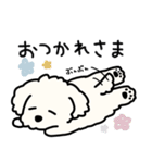 犬のもこまるの計画・連絡に便利なスタンプ（個別スタンプ：39）