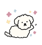 犬のもこまるの計画・連絡に便利なスタンプ（個別スタンプ：40）