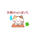 【ずっと使える】おねがい猫♡ありがと猫2（個別スタンプ：12）