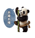 ふんどしパンダ(日常)（個別スタンプ：5）