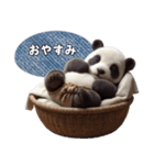 ふんどしパンダ(日常)（個別スタンプ：31）