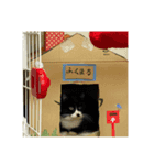 田中 福丸（個別スタンプ：8）