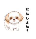 かわいいシーズー犬の岡山弁スタンプ（個別スタンプ：1）