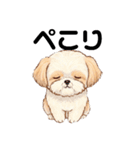 かわいいシーズー犬の岡山弁スタンプ（個別スタンプ：10）