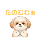 かわいいシーズー犬の岡山弁スタンプ（個別スタンプ：11）