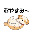 かわいいシーズー犬の岡山弁スタンプ（個別スタンプ：13）