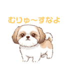 かわいいシーズー犬の岡山弁スタンプ（個別スタンプ：14）