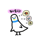 インコ【りん作品】スタンプ第4弾（個別スタンプ：21）