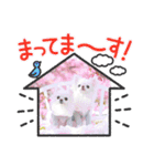 足立家と天使達8（個別スタンプ：14）