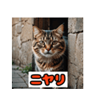 楽しく感情表現できるスタンプ！（個別スタンプ：1）